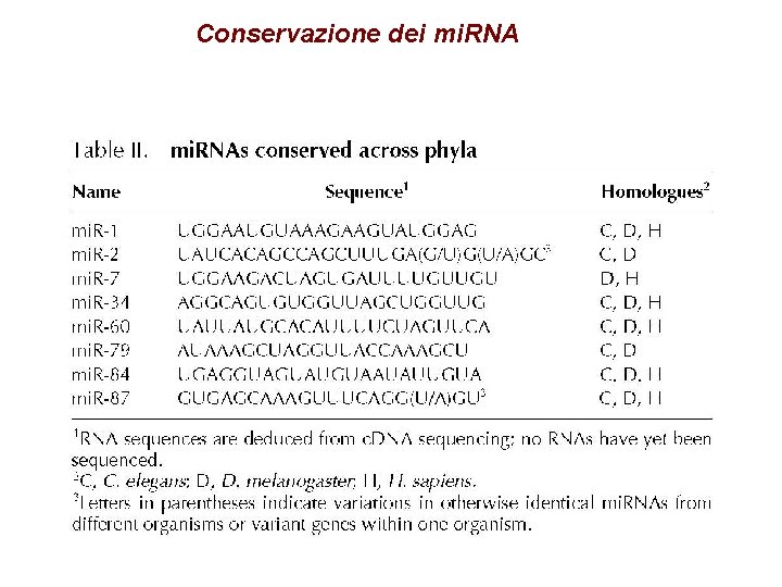 Conservazione dei mi. RNA 