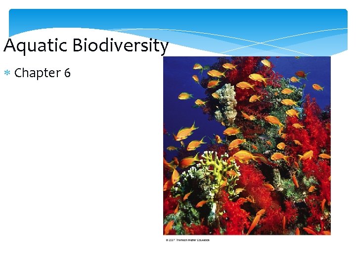 Aquatic Biodiversity Chapter 6 