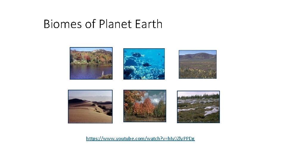 Biomes of Planet Earth https: //www. youtube. com/watch? v=h. Iy 0 Zly. PPDg 