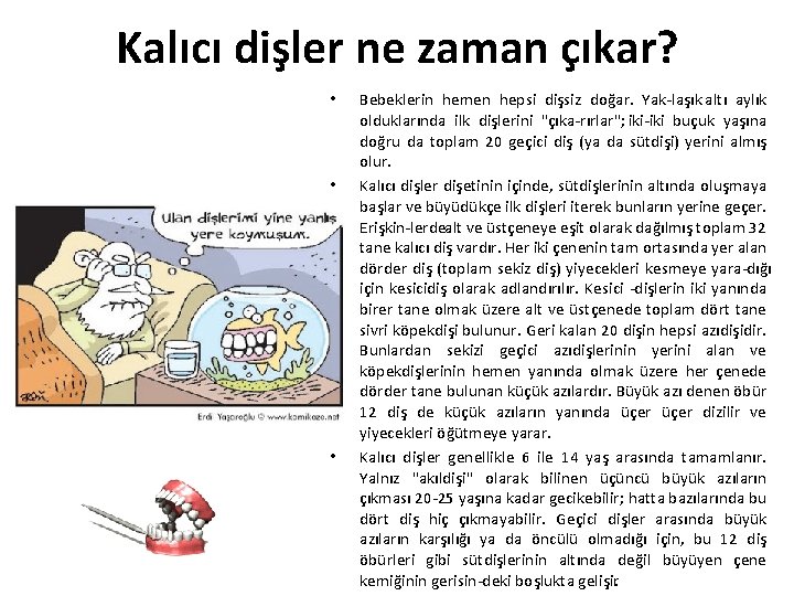 Kalıcı dişler ne zaman çıkar? • • • Bebeklerin hemen hepsi dişsiz doğar. Yak