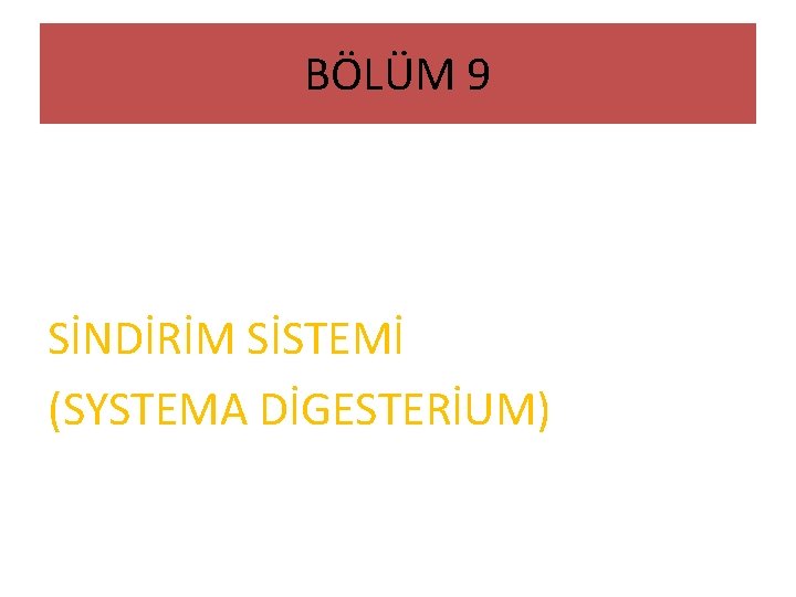 BÖLÜM 9 SİNDİRİM SİSTEMİ (SYSTEMA DİGESTERİUM) 