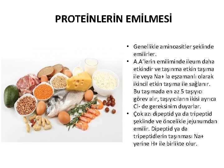 PROTEİNLERİN EMİLMESİ • Genellikle aminoasitler şeklinde emilirler. • A. A’lerin emiliminde ileum daha etkindir