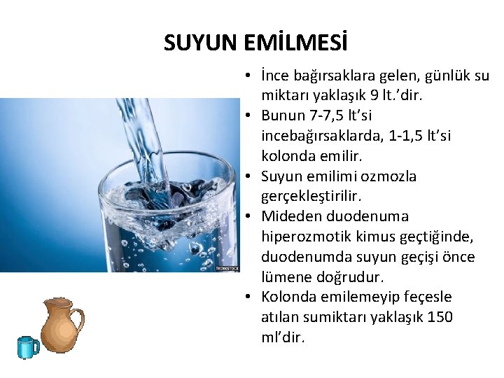 SUYUN EMİLMESİ • İnce bağırsaklara gelen, günlük su miktarı yaklaşık 9 lt. ’dir. •