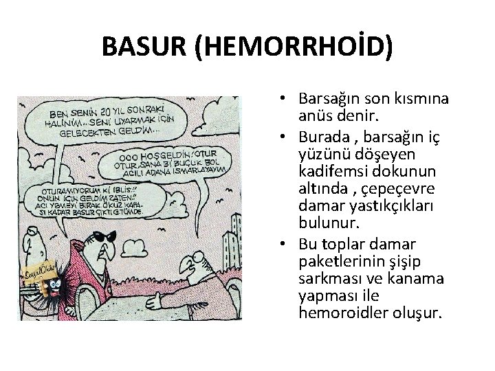 BASUR (HEMORRHOİD) • Barsağın son kısmına anüs denir. • Burada , barsağın iç yüzünü