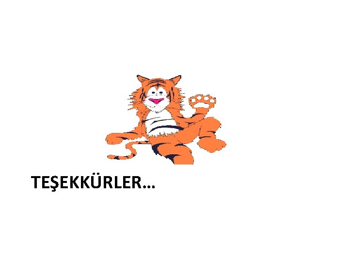 TEŞEKKÜRLER… 