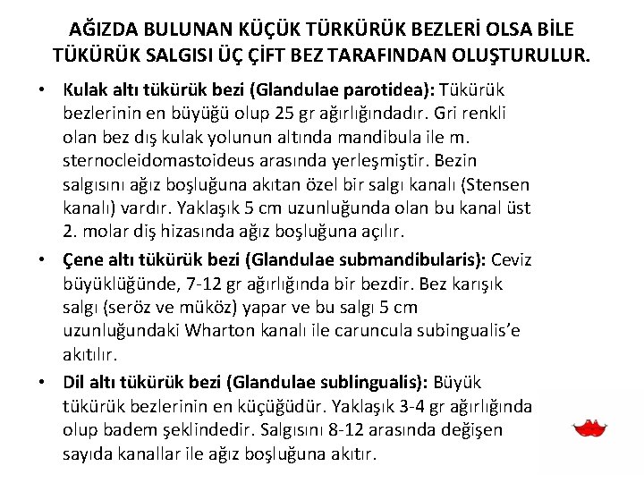 AĞIZDA BULUNAN KÜÇÜK TÜRKÜRÜK BEZLERİ OLSA BİLE TÜKÜRÜK SALGISI ÜÇ ÇİFT BEZ TARAFINDAN OLUŞTURULUR.