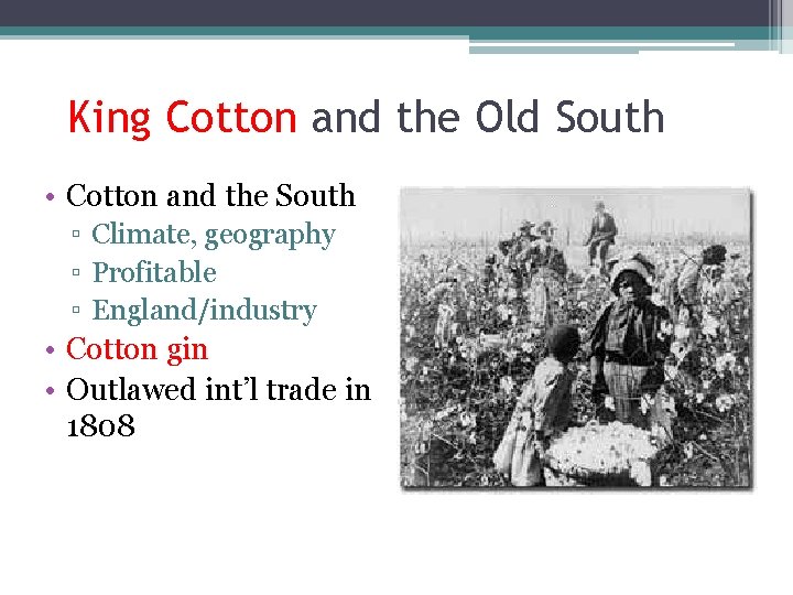King Cotton and the Old South • Cotton and the South ▫ Climate, geography
