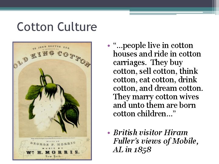 Cotton Culture • “…people live in cotton houses and ride in cotton carriages. They