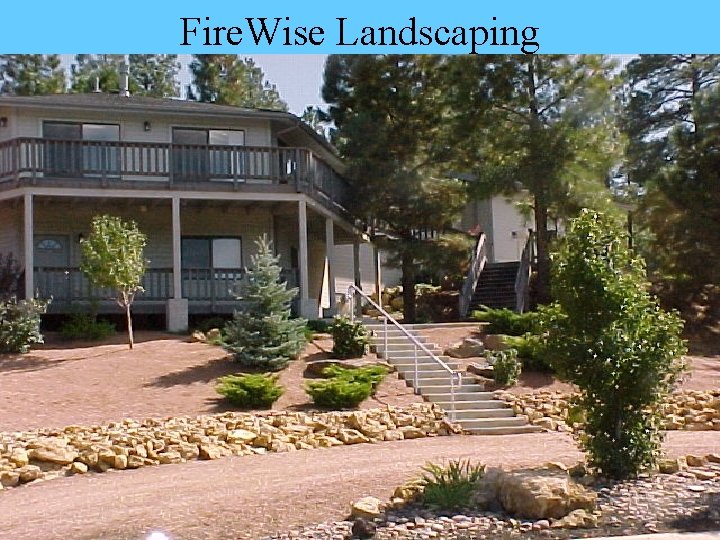 Fire. Wise Landscaping 