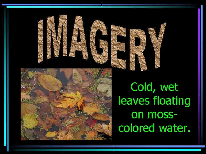 Cold, wet leaves floating on mosscolored water. 