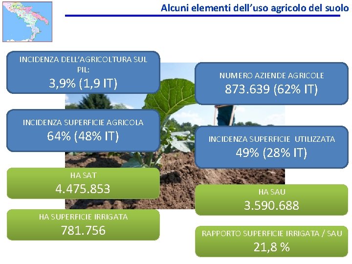 Alcuni elementi dell’uso agricolo del suolo INCIDENZA DELL’AGRICOLTURA SUL PIL: 3, 9% (1, 9