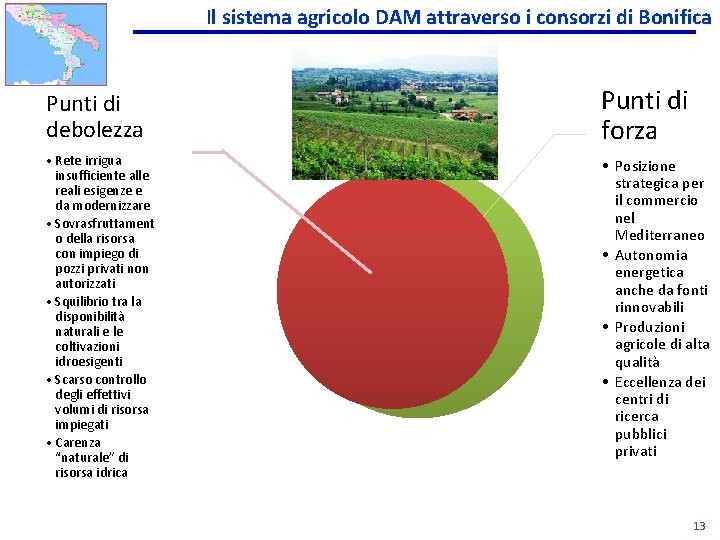 Il sistema agricolo DAM attraverso i consorzi di Bonifica Punti di debolezza Punti di