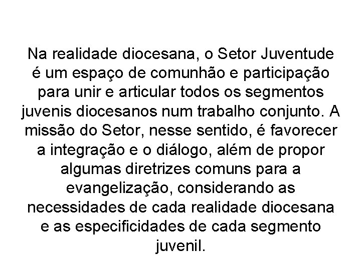 Na realidade diocesana, o Setor Juventude é um espaço de comunhão e participação para