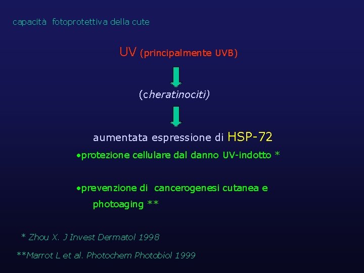 capacità fotoprotettiva della cute UV (principalmente UVB) (cheratinociti) aumentata espressione di HSP-72 • protezione