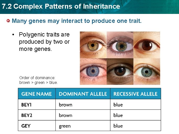 7. 2 Complex Patterns of Inheritance Many genes may interact to produce one trait.