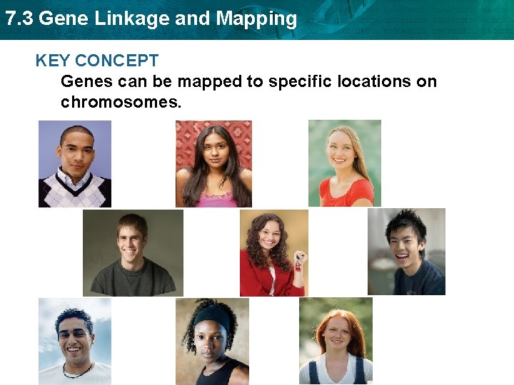 7. 3 Gene Linkage and Mapping KEY CONCEPT Genes can be mapped to specific