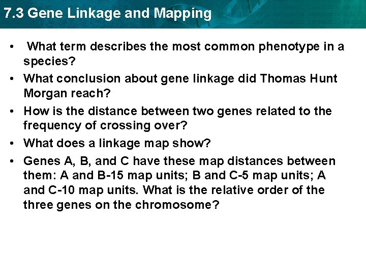 7. 3 Gene Linkage and Mapping • • • What term describes the most