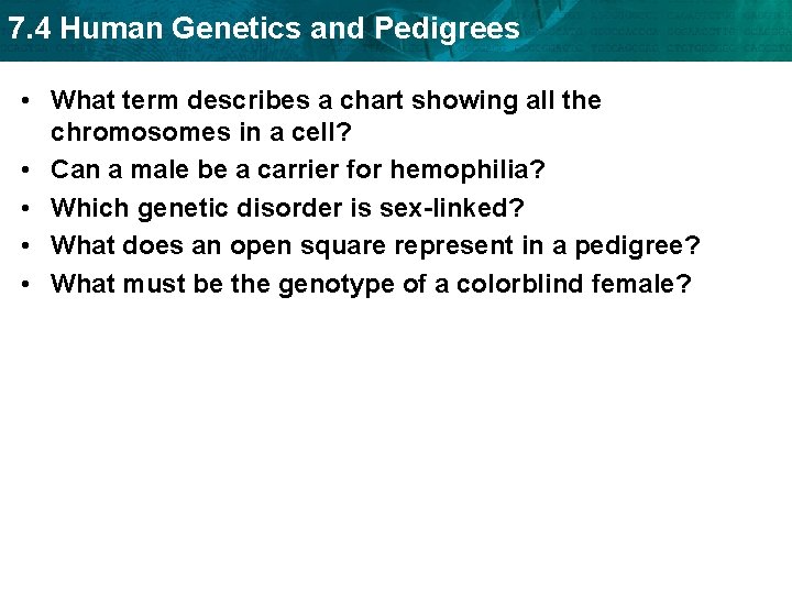 7. 4 Human Genetics and Pedigrees • What term describes a chart showing all