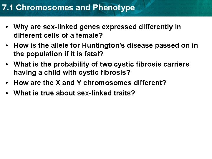 7. 1 Chromosomes and Phenotype • Why are sex-linked genes expressed differently in different