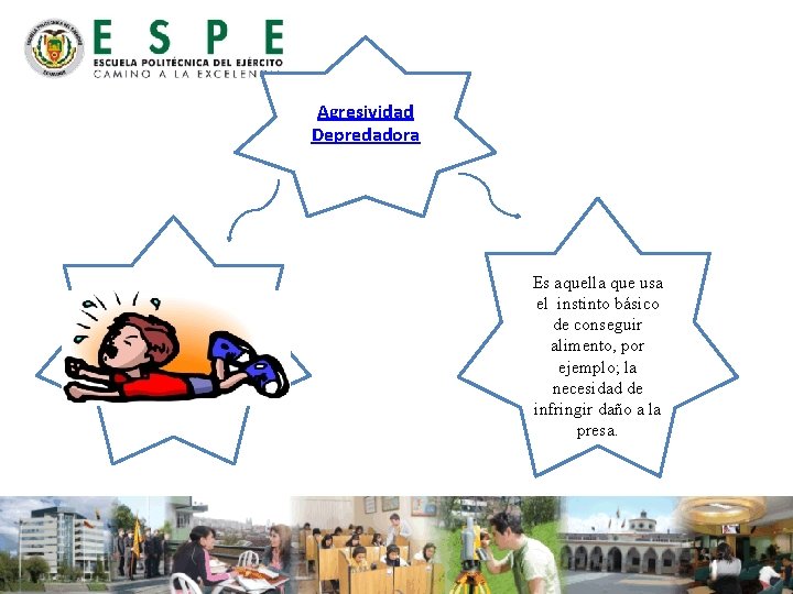 Agresividad Depredadora Es aquella que usa el instinto básico de conseguir alimento, por ejemplo;