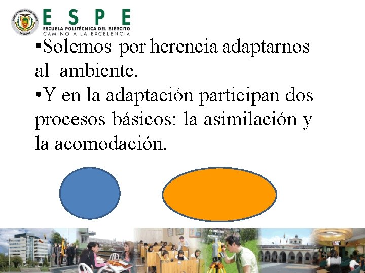  • Solemos por herencia adaptarnos al ambiente. • Y en la adaptación participan