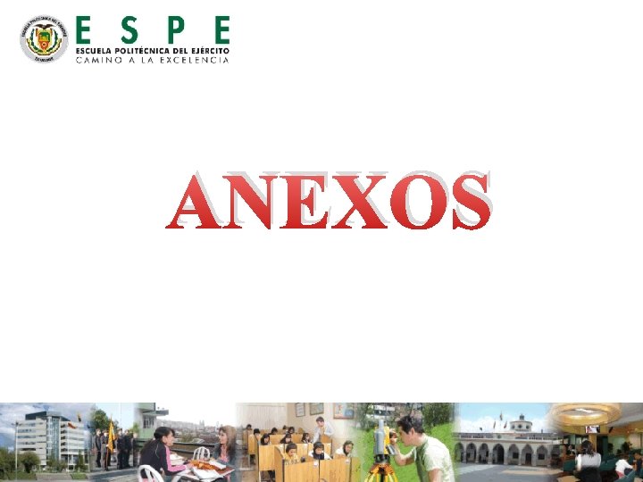 ANEXOS 