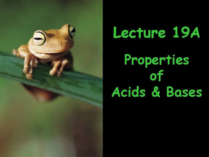 Lecture 19 A Properties of Acids & Bases 