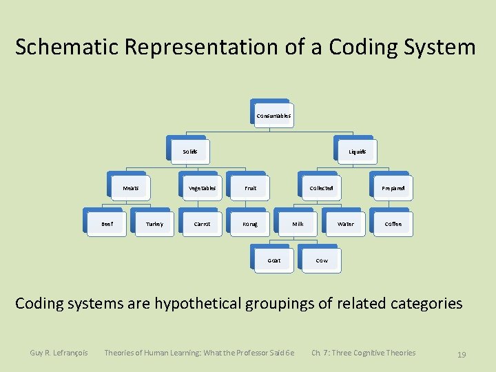 Schematic Representation of a Coding System Consumables Solids Meats Beef Turkey Liquids Vegetables Fruit