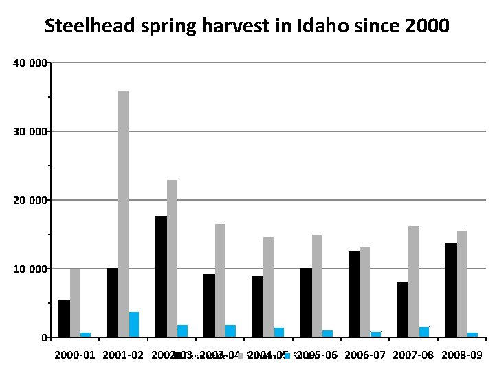 Steelhead spring harvest in Idaho since 2000 40 000 30 000 20 000 10