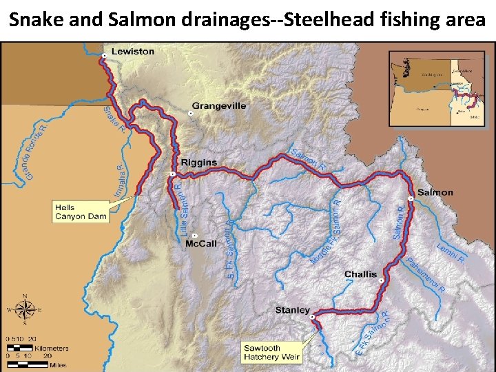 Snake and Salmon drainages--Steelhead fishing area 