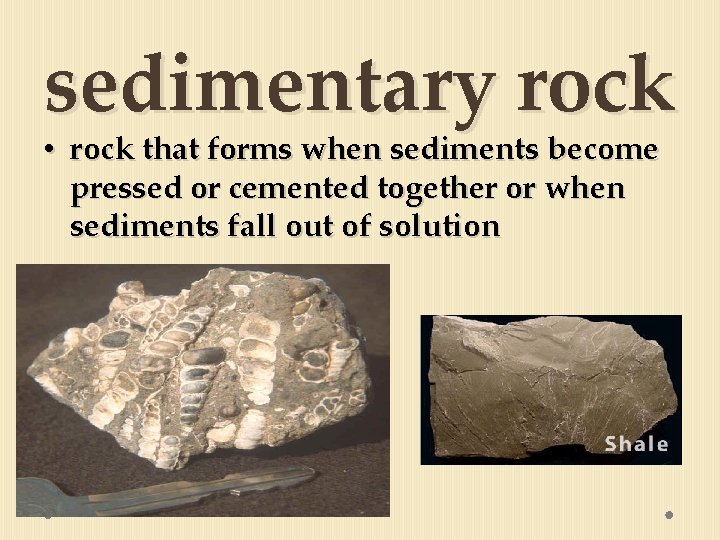 sedimentary rock • rock that forms when sediments become pressed or cemented together or