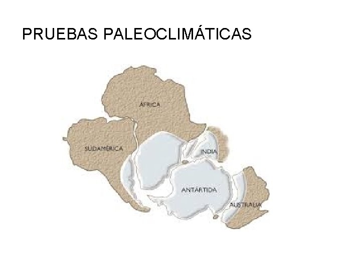 PRUEBAS PALEOCLIMÁTICAS 