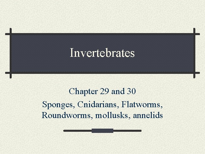 Invertebrates Chapter 29 and 30 Sponges, Cnidarians, Flatworms, Roundworms, mollusks, annelids 