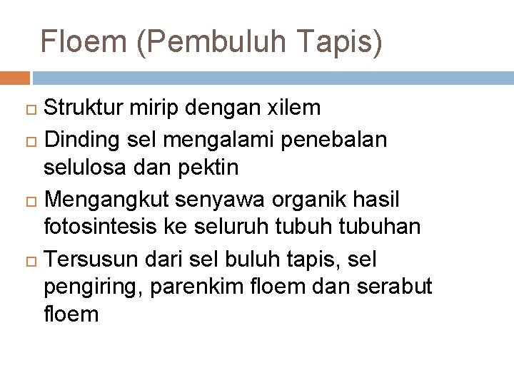 Floem (Pembuluh Tapis) Struktur mirip dengan xilem Dinding sel mengalami penebalan selulosa dan pektin