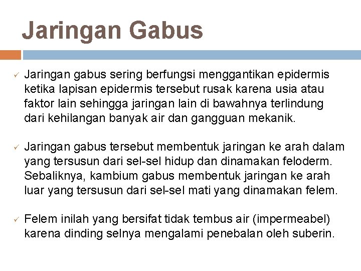 Jaringan Gabus ü ü ü Jaringan gabus sering berfungsi menggantikan epidermis ketika lapisan epidermis