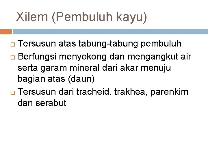 Xilem (Pembuluh kayu) Tersusun atas tabung-tabung pembuluh Berfungsi menyokong dan mengangkut air serta garam