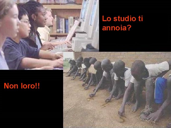 Lo studio ti annoia? estudar te chateia? Non loro!! 