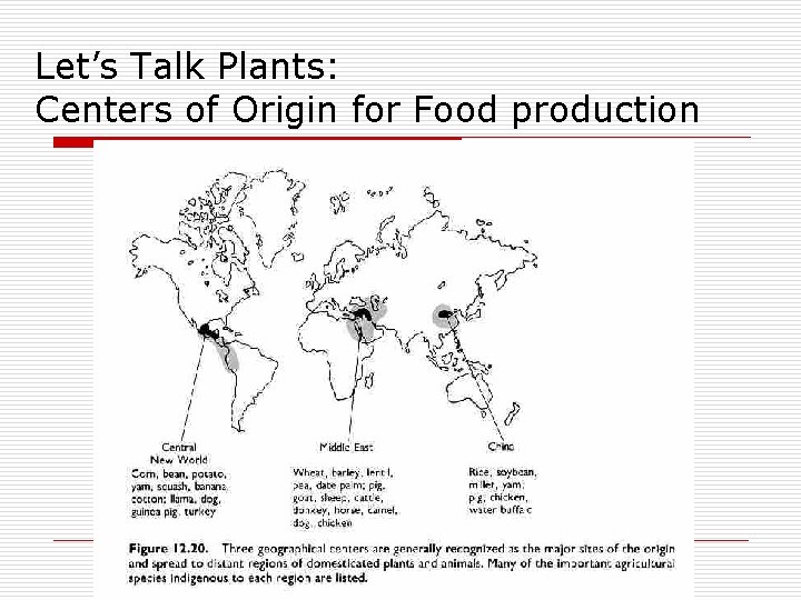 Let’s Talk Plants: Centers of Origin for Food production 