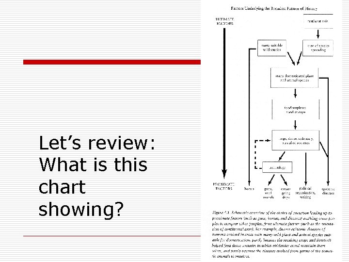 Let’s review: What is this chart showing? 