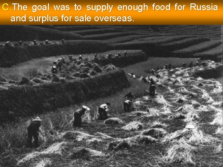 C. The goal was to supply enough food for Russia and surplus for sale
