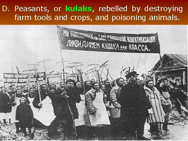 D. Peasants, or kulaks, rebelled by destroying farm tools and crops, and poisoning animals.