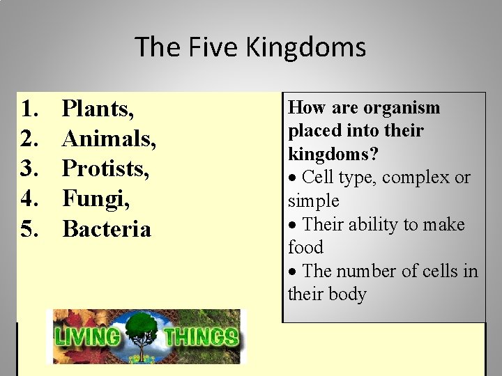 The Five Kingdoms 1. 2. 3. 4. 5. Plants, Animals, Protists, Fungi, Bacteria How