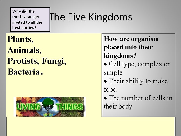 Why did the mushroom get invited to all the best parties? The Five Kingdoms