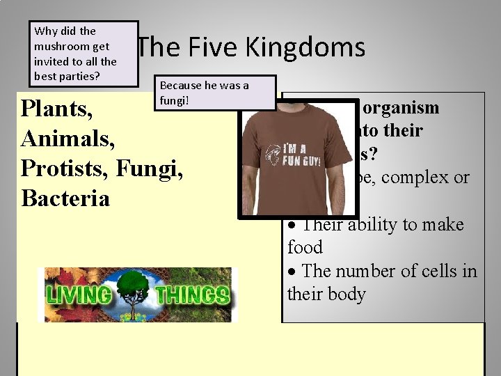 Why did the mushroom get invited to all the best parties? The Five Kingdoms