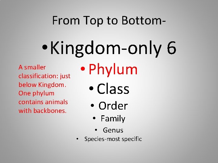 From Top to Bottom- • Kingdom-only 6 A smaller classification: just below Kingdom. One