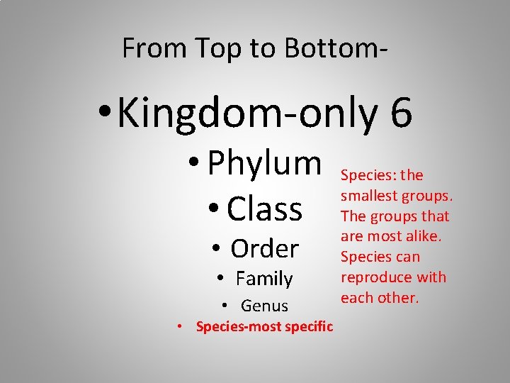 From Top to Bottom- • Kingdom-only 6 • Phylum • Class • Order •