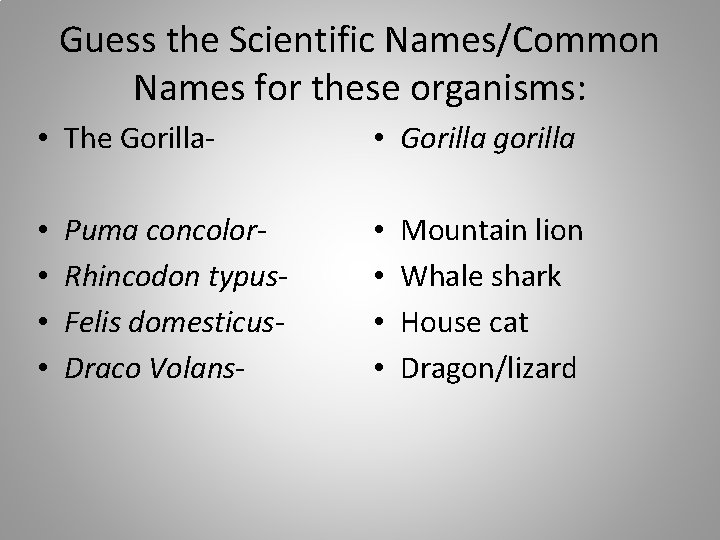 Guess the Scientific Names/Common Names for these organisms: • The Gorilla • • Puma