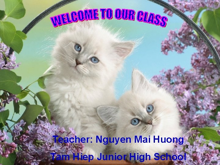 Teacher: Nguyen Mai Huong Tam Hiep Junior High School 