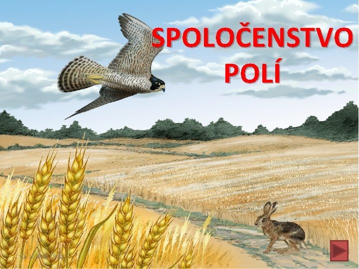 SPOLOČENSTVO POLÍ 16. 10. 2021 19: 31 