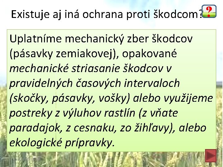 Existuje aj iná ochrana proti škodcom? ? Uplatníme mechanický zber škodcov (pásavky zemiakovej), opakované